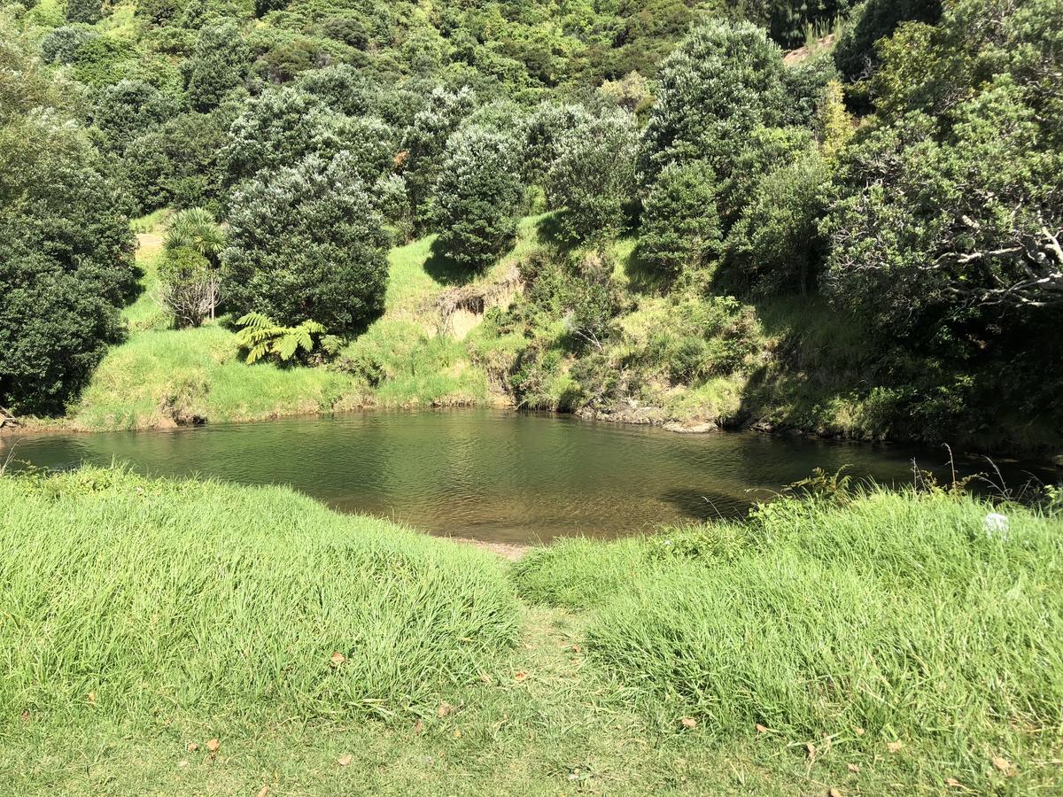 Te Mata Bay Seaviews Bed & Breakfast Tapu Exterior photo